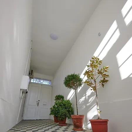 Cudesni Drvored Apartment *